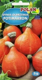 dynia-olbrzymia-potimarron-wczesna-orzechowy-smak-plenna-nasiona-3g