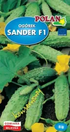 nasiona-ogorek-konserwowy-sander-f1-plenny-na-salatki-kiszenie-kwaszenie-5g