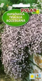 gipsowka-trwala-rozeslana-niska-rozowa-drobna-bylina-skalniaki-nasiona-1g
