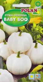 dynia-ozdobna-baby-boo-kremowobiala-kompozycje-dekoracyjne-nasiona-15g