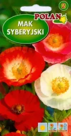 mak-syberyjski-duze-pelne-kwiaty-kolor-mix-ciete-skalniaki-nasiona-05g