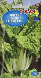 burak-lisciowy-lukullus-bialy-bialko-zelazo-duze-miesiste-liscie-nasiona-8g