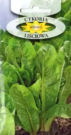 cykoria-lisciowa-bogata-w-bialko-sole-miner-nasiona-na-trawienie-apetyt-5g