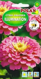 cynia-daliowa-illumination-miododajna-kwiaty-kwiat-nasiona-kwiatow-1g
