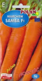 marchew-jadalna-samba-f1-slodka-plenna-marchewka-nasiona-marchewki-5g