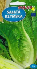 salata-rzymska-duza-eliptyczna-odporna-przechowywanie-nasiona-salaty-1g