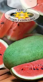 arbuz-charleston-gray-slodki-orzezwiajacy-duzy-nasiona-arbuza-kawon-1g