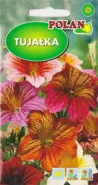 tujalka-bolero-mix-kolor-kwiaty-ciete-doniczka-kwiat-nasiona-kwiatow-1g