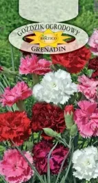 gozdzik-ogrodowy-grenadin-mix-kolorow-rabaty-kwiat-ciety-nasiona-05g