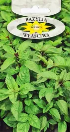 bazylia-wlasciwa-zielona-jadalna-lecznicza-ziola-nasiona-bazylii-1g