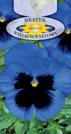 bratek-wielokwiatowy-ogrodowy-niebieski-plamka-kwiaty-nasiona-kwiatow-05g