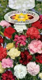 gozdzik-szabo-chabaud-pachnace-kwiaty-silnie-krzewi-nasiona-05g