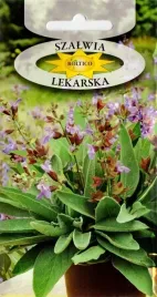 szalwia-lekarska-miododajna-napar-reguluje-trawienie-ziola-nasiona-1g