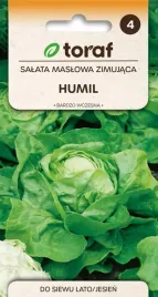 salata-siewna-maslowa-humil-zimujaca-nasiona-salaty-zimujacej-toraf-1g