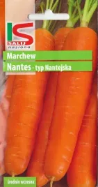 marchew-nantes-soczysta-lato-jesien-dluga-marchewka-nasiona-marchewki-5g