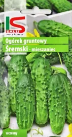 ogorek-gruntowy-konserwowy-sremski-wczesny-odporny-bardzo-plenny-nasiona-5g