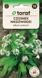 czosnek-niedzwiedzi-mrozoodporny-ziola-przyprawa-antybiotyk-nasiona-025g