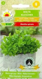 mieta-klosowa-bylina-ziola-napar-aromatyczna-na-migrene-nasiona-0-1g