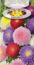 aster-chinski-ksiazecy-mix-astry-nasiona-kwiat-1g-callistephus-chinensis