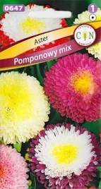 aster-pomponowy-pelny-mix-kolorow-na-kwiat-ciety-rabaty-nasiona-1g