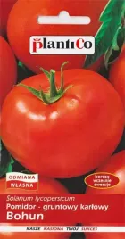 pomidor-bohun-wczesny-karlowy-gruntowy-plenny-duze-owoc-nasiona-pomidora-1g