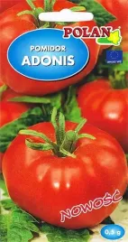 pomidor-adonis-wczesny-malinowy-duzy-grunt-tunel-nasiona-pomidorow-05g