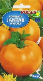 pomidor-jantar-wczesny-bardzo-duzy-plenny-nasiona-pomidora-pomidorow-02g