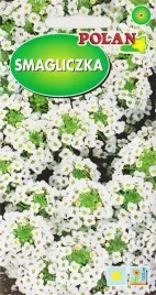 smagliczka-biala-capri-niska-miododajna-przyjemny-zapach-nasiona-kwiatow-1g