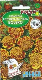 aksamitka-rozpierzchla-niska-bolero-kwiaty-kwiatki-nasiona-aksamitki-1g