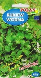 rukiew-wodna-na-mlode-listki-jadalna-bogata-witaminy-mineraly-nasiona-01g