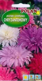 aster-chinski-chryzantemowy-mix-kolorow-nasiona-1g-callistephus-chinensis