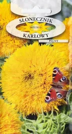 slonecznik-pelny-ozdobny-karlowy-zolty-nasiona-slonecznika-nasionka-2g