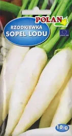 rzodkiewka-sopel-lodu-biala-duza-10-12cm-ostra-nasiona-nasionka-10g