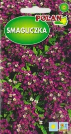 smagliczka-fiolet-royal-carpet-przyjemnie-pachnie-nasiona-kwiatow-1g