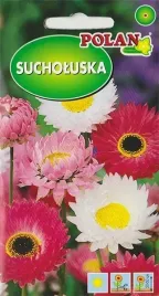 sucholuska-mix-kolorow-kwiat-ciety-suchy-bukiet-nasiona-kwiatow-2g