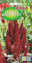 szarlat-wiechowaty-czerwony-rabaty-kwiat-ciety-suszki-nasiona-kwiatow-2g