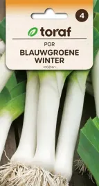 por-blauwgroene-winter-pozny-odporny-zimujacy-dlugie-lodygi-nasiona-1g