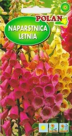 naparstnica-letnia-foxy-mieszanka-cudne-dzwonki-wysoka-nasiona-nasionka-1g