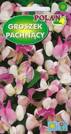 groszek-pachnacy-pansy-lavender-flush-roslina-pnaca-kwiat-kwiaty-nasiona-2g