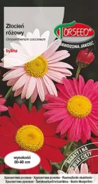 zlocien-rozowy-kwiaty-ciete-rabaty-bylinowe-nasiona-kwiatow-05g