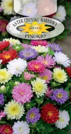 aster-karlowy-pinokio-mix-kolorow-drobny-nasiona-kwiatow-nasionka-05g