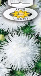 aster-igielkowy-bialy-na-kwietniki-balkony-do-skrzynek-nasiona-kwiatow-1g
