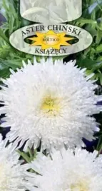 aster-chinski-ksiazecy-bialy-astry-nasiona-1g-callistephus-chinensis