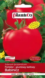 pomidor-gruntowy-karlowy-babinicz-nasiona-1g-lycopersicon-esculentum