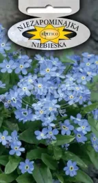 niezapominajka-niebieska-niska-piekna-ozdobna-kwiat-ogrodowy-nasiona-05g