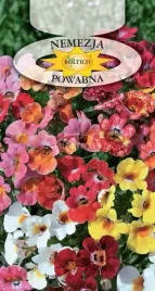 namezja-powabna-nemezja-kwiat-mieszanka-kolorow-nasiona-kwiatow-03g