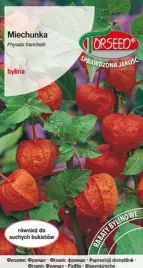 miechunka-bukiety-suche-rabaty-bylinowe-bylina-nasiona-05g-physalis