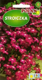 lobelia-stroiczka-rozowa-idealna-na-balkon-kwietniki-nasiona-03g