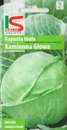 kapusta-glowiasta-biala-kamienna-glowa-pozna-plenna-uprawa-ogrod-nasiona-2g