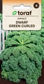 jarmuz-dwarf-green-curled-duzo-witamin-wapn-fosfor-zelazo-nasiona-1g